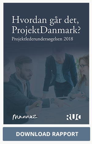 Download Projektlederundersøgelsen 2018