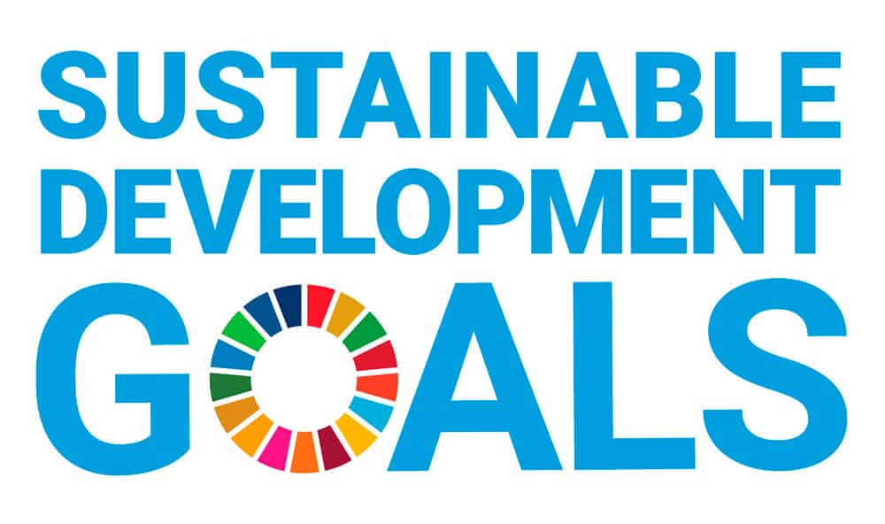The Sustainable Development Goals (SDGs) logo